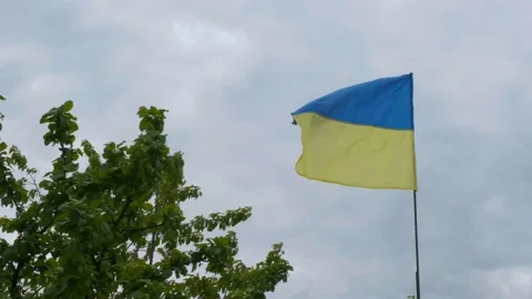 The Ukrainian national faln develops in the wind. National flag of ukraine Stock Footage 195536426
