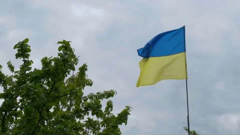 The Ukrainian national faln develops in the wind. National flag of ukraine Stock Footage 195536567
