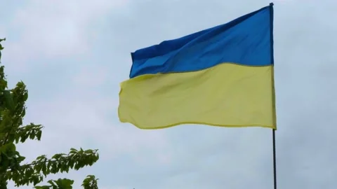 The Ukrainian national faln develops in the wind. National flag of ukraine Video stock 196695506