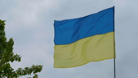 The Ukrainian national faln develops in the wind. National flag of ukraine Video stock 197080126