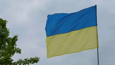 The Ukrainian national faln develops in the wind. National flag of ukraine Video stock 197080174