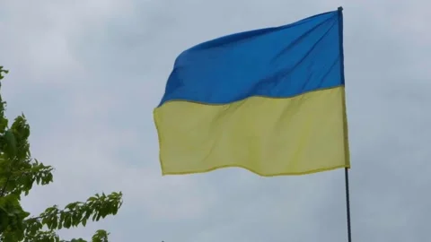 The Ukrainian national faln develops in the wind. National flag of ukraine Video stock 197080226