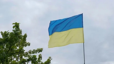 The Ukrainian national faln develops in the wind. National flag of ukraine Stock Footage 199093069