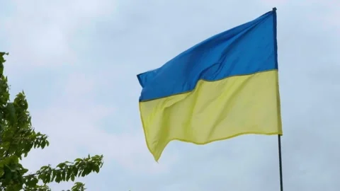 The Ukrainian national faln develops in the wind. National flag of ukraine Stock Footage 201153785