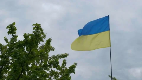 The Ukrainian national faln develops in the wind. National flag of ukraine Vídeos de archivo 201153872