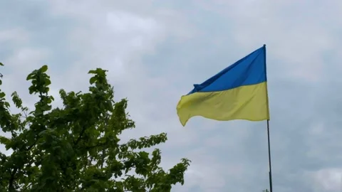 The Ukrainian national faln develops in the wind. National flag of ukraine Video stock 202116870