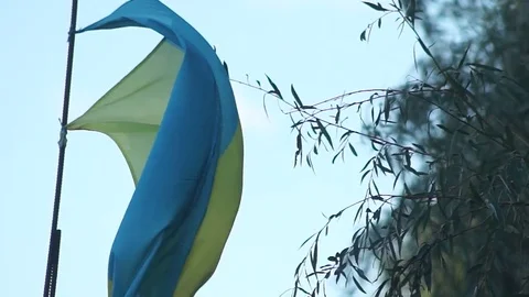 Ukrainian national flag against the sky Stock Footage