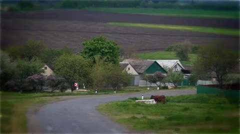 Ukrainian sat down before setting of sun, nature and landscape of South-east Ukr Stock Footage 37873654