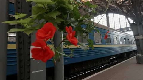 Ukrainian sleeper train at Lviv Central Stock Footage 166435483