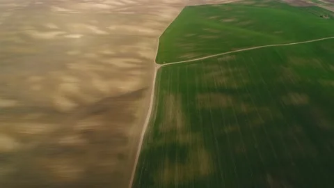 Ukrainian sown spring fields of brown and green. On the left with small plants, Stock Footage 187790669