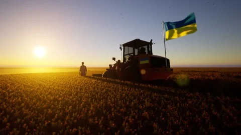 Ukrainian tractor in the field Stock Footage 196146627