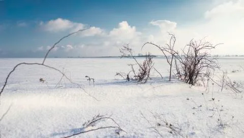 Ukrainian winter Фото