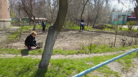 Ukrainians return to normal life after the russian invasion. People plant plants 스톡 동영상 182976752