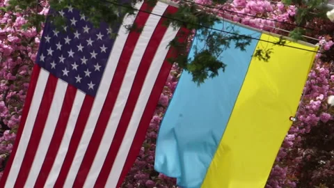 UKRANIAN FLAGS PRING Stock Footage 194383523