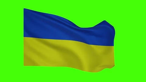 UKRANIE FLAG Video stock 230188823