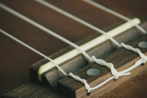Ukulele bridge saddle and string. Stock Photos