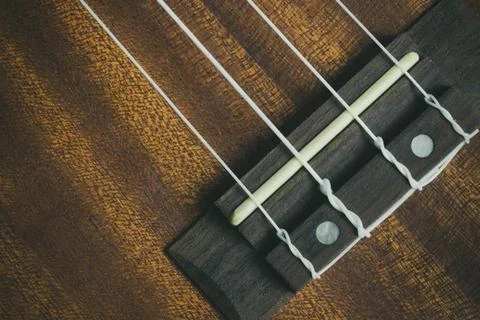 Ukulele bridge saddle and string. Stock Photos