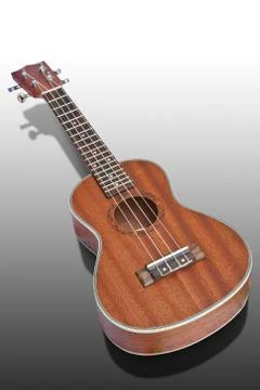 Ukulele isolated on gray Illustrazione stock