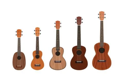 Ukulele isolated on white, different sizes of musical instrument 库存插图