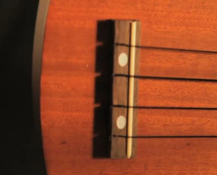 Ukulele Montage PAL Stock Footage 8960249