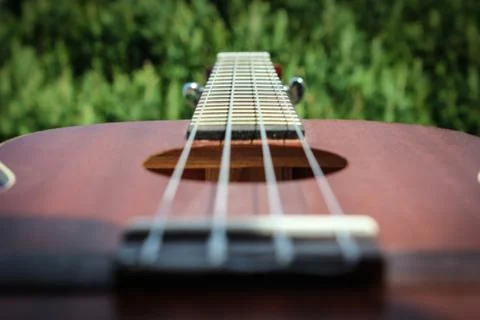 Ukulele Stock Photos