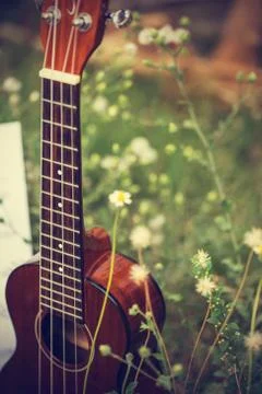 Ukulele processed in vintage  style Stock Photos
