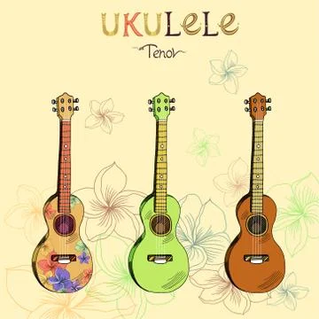 Ukulele tenor set Stock Illustration