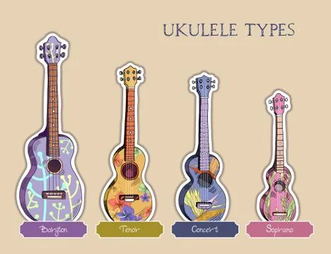 Ukulele types Stock Illustration