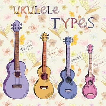 Ukulele types Stock Illustration