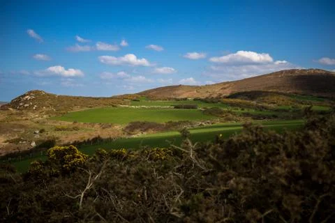 UK/Welsh Countryside Stock Photos