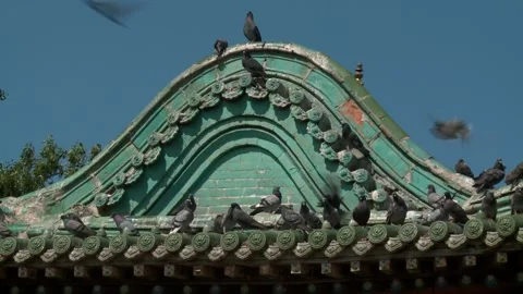 Ulaanbaatar, Mongolia Stock Footage 133566923