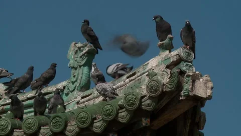 Ulaanbaatar, Mongolia Stock Footage 133567490