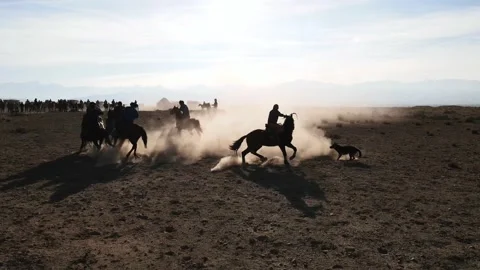 Ulak Stock Footage 220419451