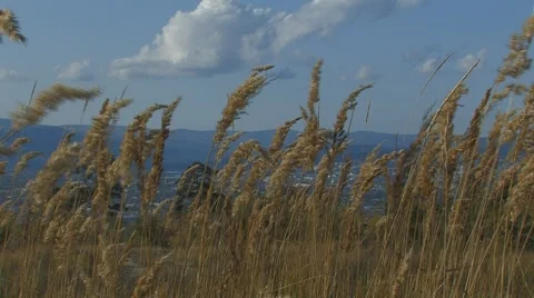 Ulan Ude landscape 2 Stock Footage 5164042