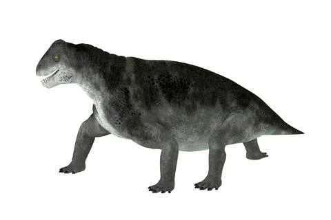 Ulemosaurus Therapsid Walking Stock Illustration