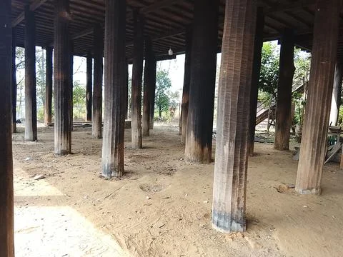 Ulin Wood Pillars Inside Huma Betang Stilt House Kalimantan Indonesia Stock Photos