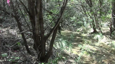 Ullman1 Stock Footage 288690