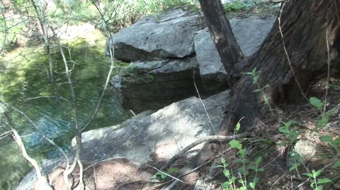 Ullman2 Stock Footage 288682