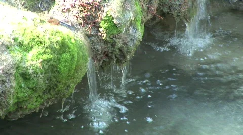 Ullman5 Stock Footage 288647