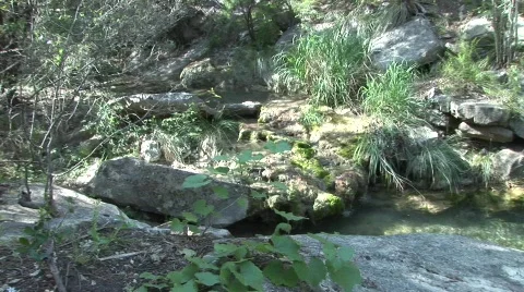 Ullman6 Stock Footage 288645