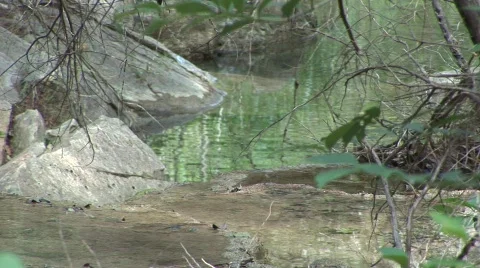 Ullman8 Stock Footage 288636