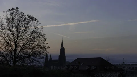 Ulm Minster and a tree at morning in dawn time lapse Stock Footage 221778757