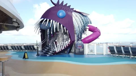 Ultimate Abyss Slide on Oasis of the Seas May 2025 Stock Footage 314290489
