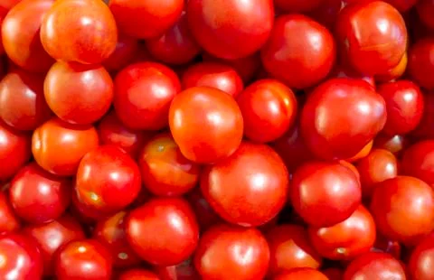 Ultimate Tomatoes Stock Photos