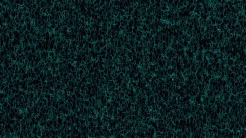 Ultra Dense Cyan Caustics Mesh Loop Stock Footage 342344576