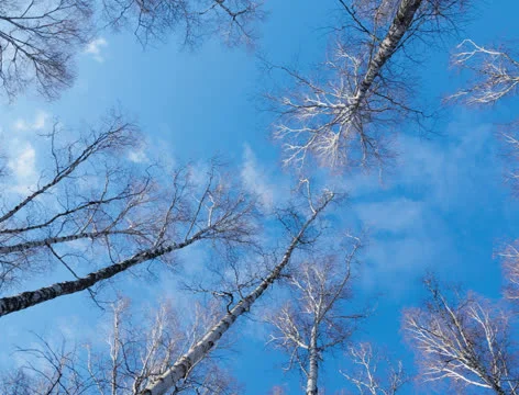 Ultra FullHD 4K, Cloud, Time Lapse Stock Footage 23642673