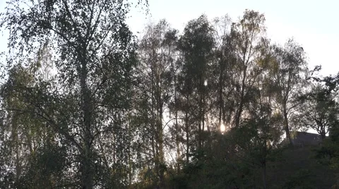 ULTRA HD 4K Beautiful forest tree sunset sunrise sunlight wood mountain resort  Stock Footage 45755468