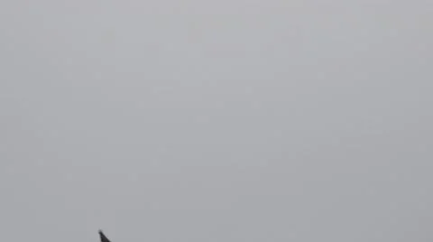 ULTRA HD 4K Closeup crow flock fly sky many pigeons bird black dove raven search Video stock 45753042