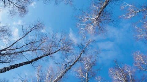 Ultra HD 4K, Cloud, Time Lapse Stock Footage 23693517