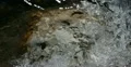 Ultra HD 4K Fairy like sparkling winter tale, ice frozen water natural river 4k or 4k+ Resolution